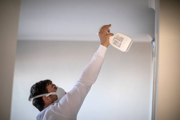 Best Certified Mold Removal  in Lynnwood, WA