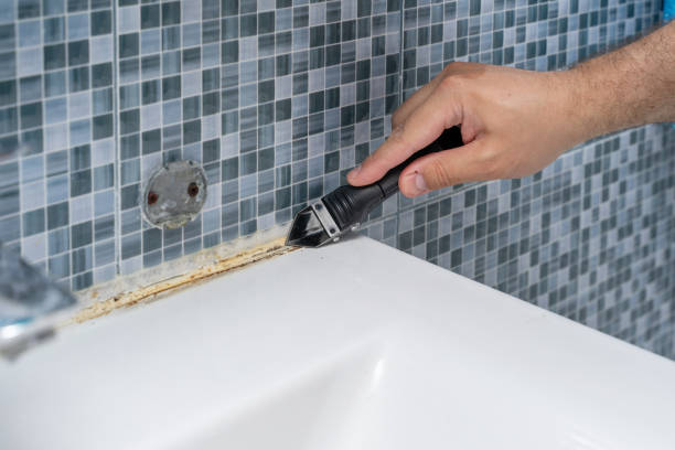 Best Mold Cleaning Services  in Lynnwood, WA