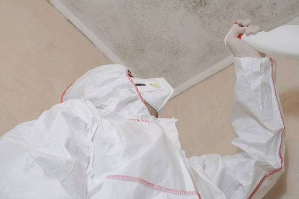 Best Emergency Mold Removal  in Lynnwood, WA
