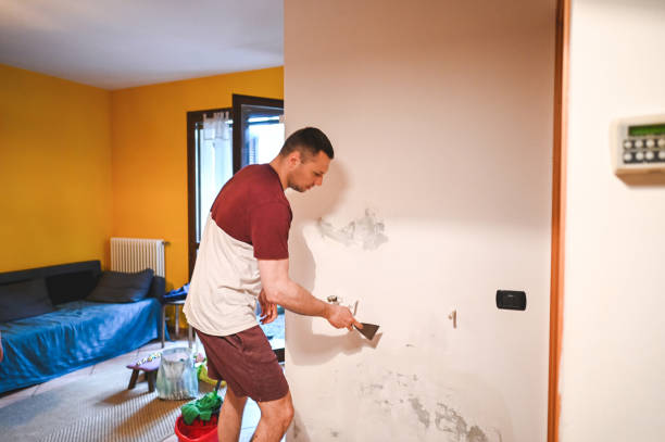 Mold Removal and Inspection in Lynnwood, WA